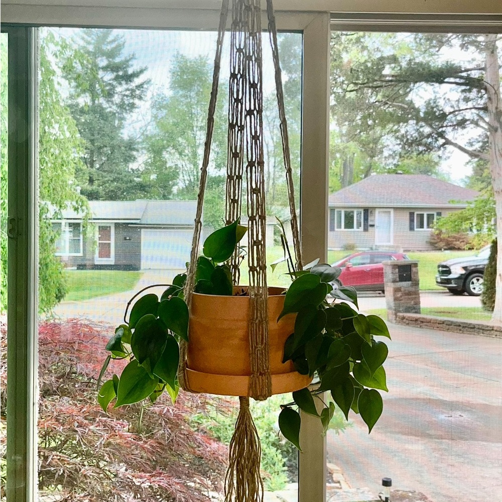 New handmade macrame plant hanger / will trade